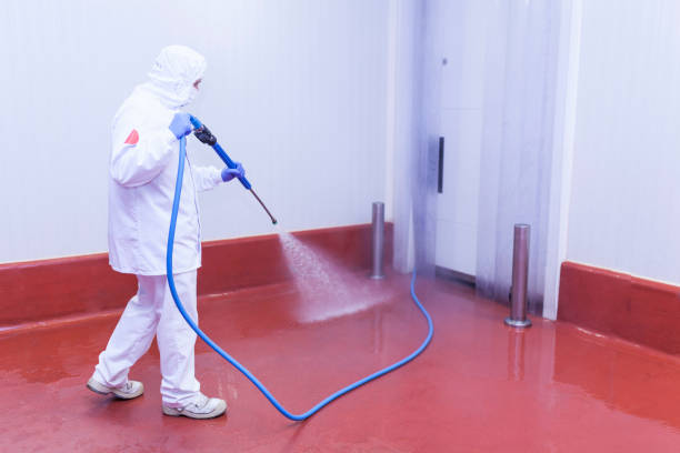 Best Restaurant Pressure Washing  in Clewiston, FL
