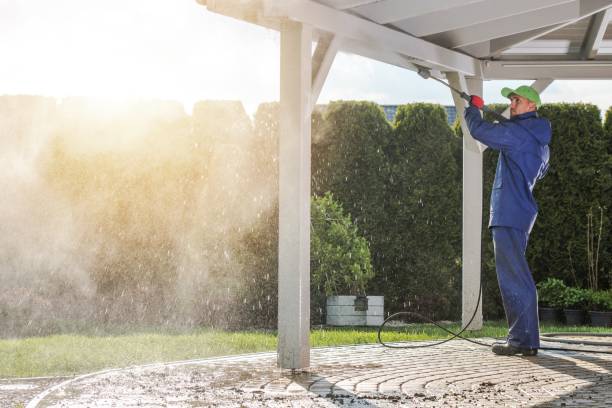 Best House Exterior Washing  in Clewiston, FL